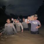 WhatsApp Image 2024-01-24 at 19.58.04