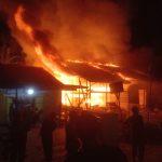 WhatsApp Image 2024-11-01 at 21.01.08