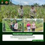 WhatsApp Image 2024-11-15 at 10.47.28