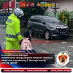 WhatsApp Image 2024-12-05 at 15.18.21