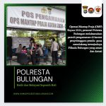 WhatsApp Image 2024-12-07 at 15.24.11