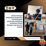 WhatsApp Image 2024-12-12 at 15.35.49