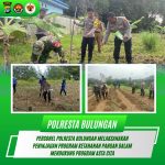 Personel Polresta Bulungan melaksanakan peninjauan program ketahanan pangan dalam mendukung program Asta Cita. Kapolresta Bulungan, Kombes Pol Rofikoh Yunianto, S.I.K, mengatakan bahwa program ini merupakan bagian dari komitmen kepolisian dalam mendukung ketahanan pangan nasional, terutama di wilayah Kabupaten Bulungan. WhatsApp Image 2025-02-18 at 14.05.43