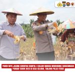 WhatsApp Image 2025-06-05 at 11.12.05