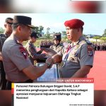 WhatsApp Image 2025-07-28 at 14.13.08