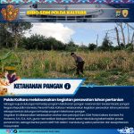 IMG-20260204-WA0014(1)