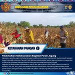 WhatsApp Image 2026-02-02 at 09.09.05