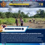 WhatsApp Image 2026-02-05 at 10.48.29