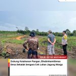 Dukung Swasembada Pangan Nasional, Bhabinkamtibmas Polsek Sekatak Dampingi Petani Jagung WhatsApp Image 2026-02-06 at 14.37.55