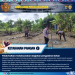 WhatsApp Image 2026-02-07 at 10.17.05