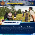 WhatsApp Image 2026-02-10 at 11.06.24