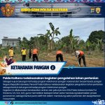 WhatsApp Image 2026-02-26 at 10.15.16