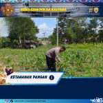 WhatsApp Image 2026-04-06 at 12.11.08