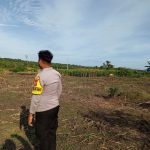 Bhabinkamtibmas Tanjung Palas Utara Dampingi Penanaman Jagung, Target Panen Capai 1 Ton WhatsApp Image 2026-04-13 at 16.16.08