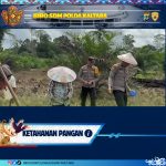 Bhabinkamtibmas Polsek Sesayap bersama warga melaksanakan kegiatan penanaman jagung di wilayah Kecamatan Sesayap sebagai bentuk dukungan terhadap program ketahanan pangan nasional. WhatsApp Image 2026-05-11 at 11.31.36